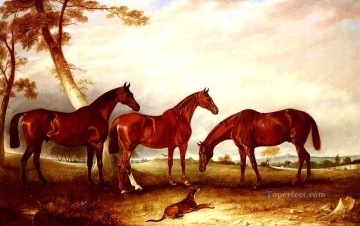 John Ferneley Painting - Marvel Kingfisher And The Lad horse John Ferneley Snr